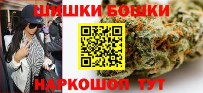 гидра Ставрополь