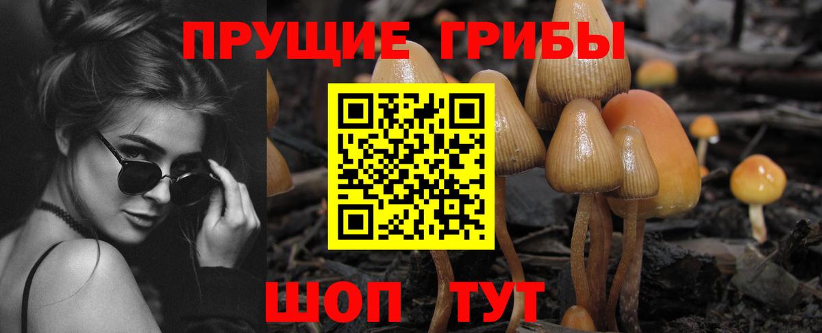 Псилоцибиновые грибы Psilocybine cubensis  Вход с VPN  Мегион 